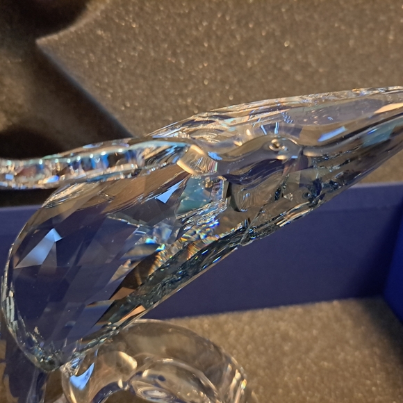 Pristine Swarovski crystal SCS 2012 Paikea whale and title plaque - Picture 5 of 10